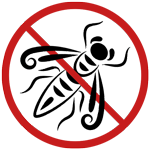 Nid de frelon asiatique en Charente | Intervention urgente