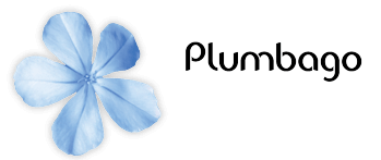 Plumbago à Paris : Excellence en Services de Ménage pour un Environnement Impeccable