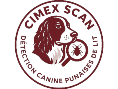 Traitement punaise de lit Hauts-de-Seine