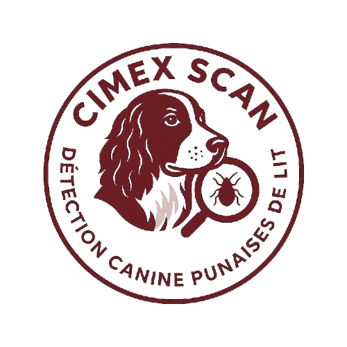 Traitement punaise de lit Hauts-de-Seine