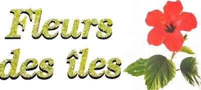Fleurs près de Sainte-Geneviève-des-Bois | FLEURS DES ÎLES