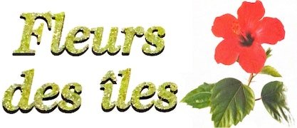 Fleurs près de Sainte-Geneviève-des-Bois | FLEURS DES ÎLES